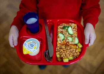 Minnesota’s fraud avalanche begins: How a ‘nonprofit’ scammed $250M meant for needy children