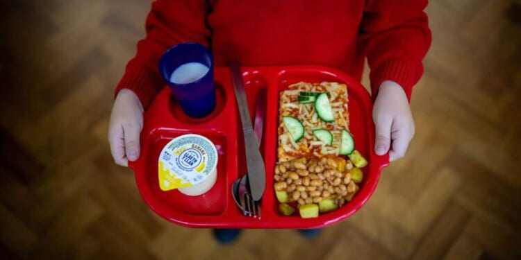 Minnesota’s fraud avalanche begins: How a ‘nonprofit’ scammed $250M meant for needy children