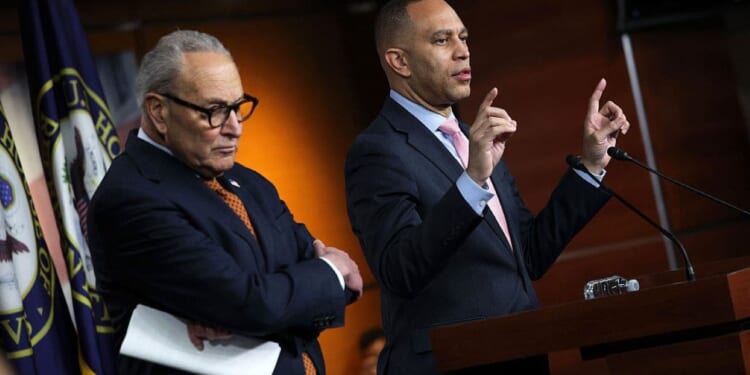 Democratic leaders condemn fatal Minneapolis shooting of Renee Good