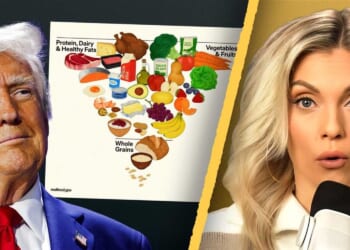 Liz Wheeler: New vaccine schedule is a MAJOR win for MAHA moms