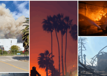 Fire, Wind, and Incompetence Destroyed More Than Brick and Mortar in Los Angeles