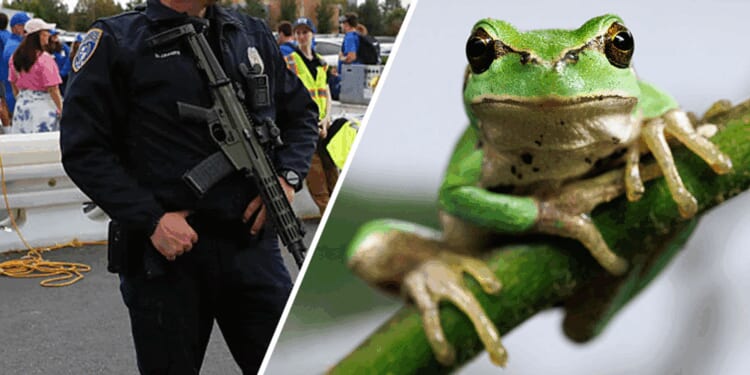 Utah police report claims officer shape-shifted into a frog