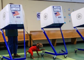 New York could hold 2028 presidential primary on Super Tuesday