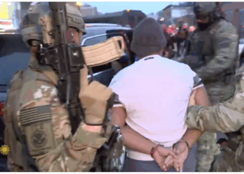 Renee Good Gave Her Life To Protect Child Rapists And Killers From ICE Arrest