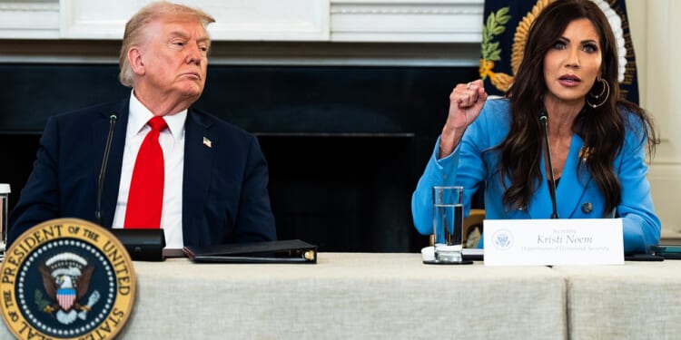 Immigration to US turns negative in 2025, new Brookings Institution report finds