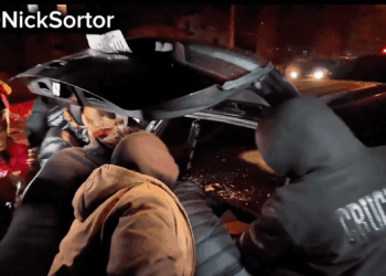 Man Shot By ICE Attacked Agent With A Shovel, But You Won’t Hear It From Legacy Media