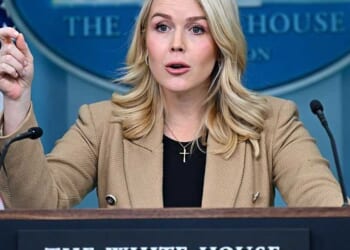 'You're a left-wing hack!' Karoline Leavitt rips journalist over 'biased' ICE claims