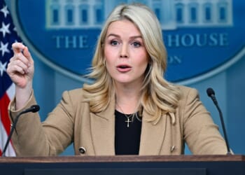 White House's Karoline Leavitt blames Democrats for Minneapolis violence