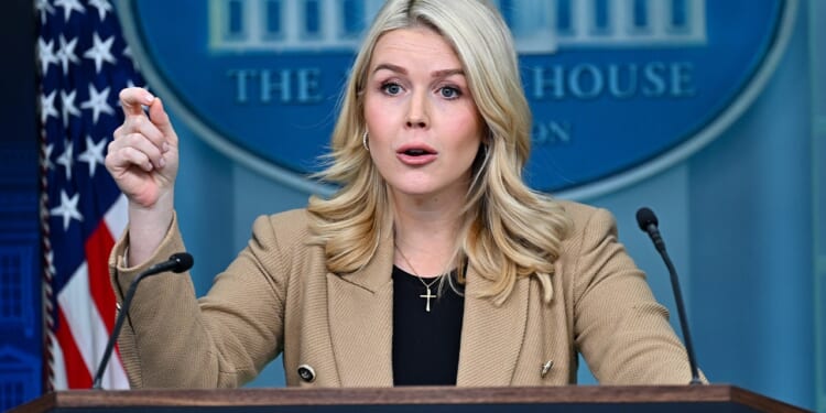 White House's Karoline Leavitt blames Democrats for Minneapolis violence