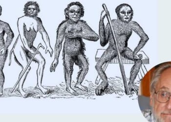 Darwinism is a dead end — and biologists know it