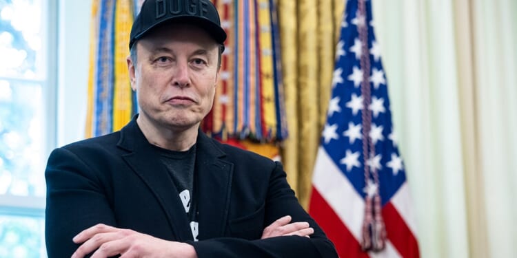 Elon Musk gives $10 million to Nate Morris Kentucky Senate campaign