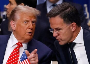 NATO chief says Arctic security, not US control of Greenland, was focus of Trump talks