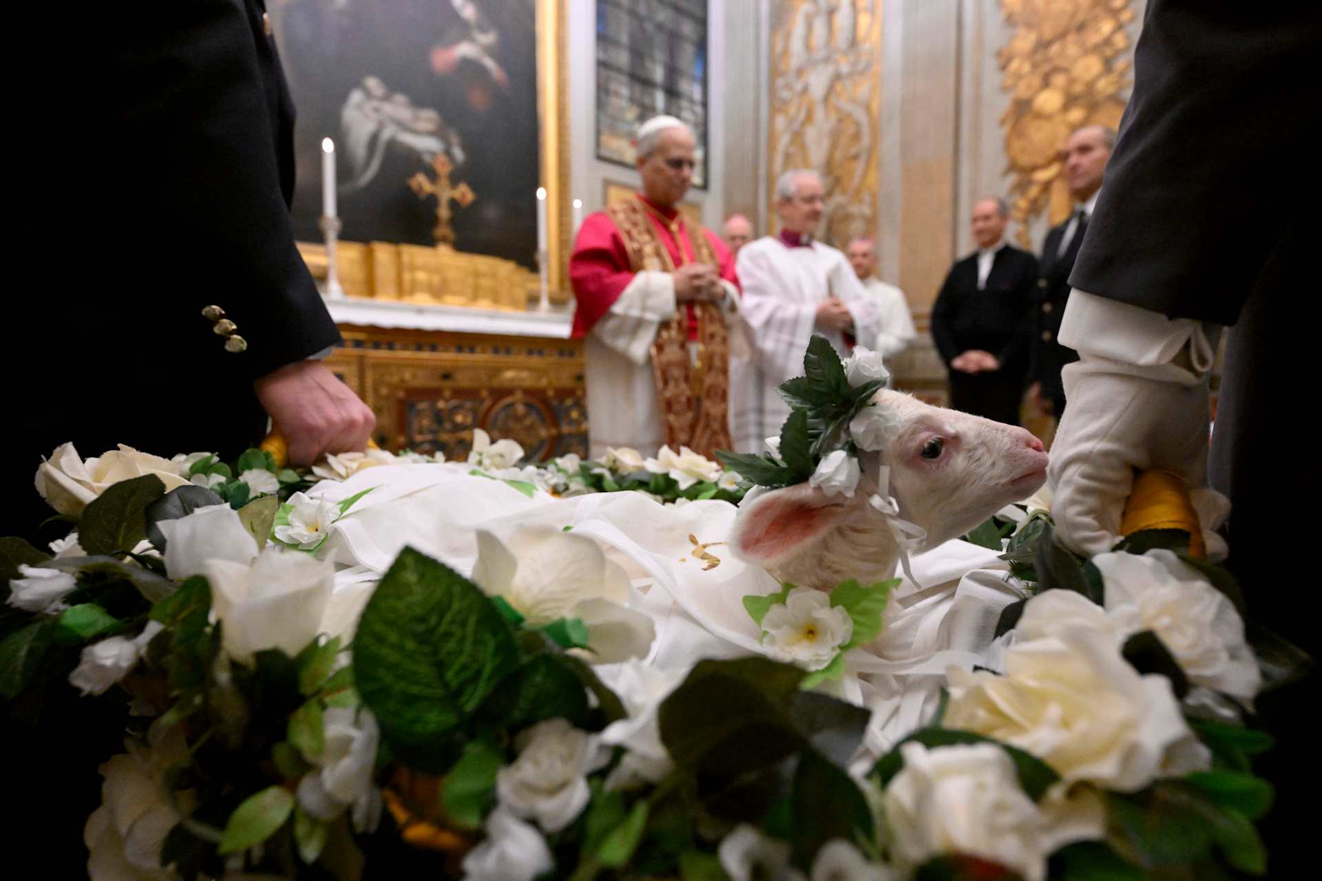 Pope Leo XIV meets a pair of lambs blessed for the feast of the Roman virgin and martyr St. Agnes in the Urban VIII Chapel in the Vatican’s Apostolic Palace on Jan. 21, 2026. | Credit: Vatican Media