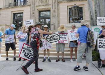 The State DOGE Movement