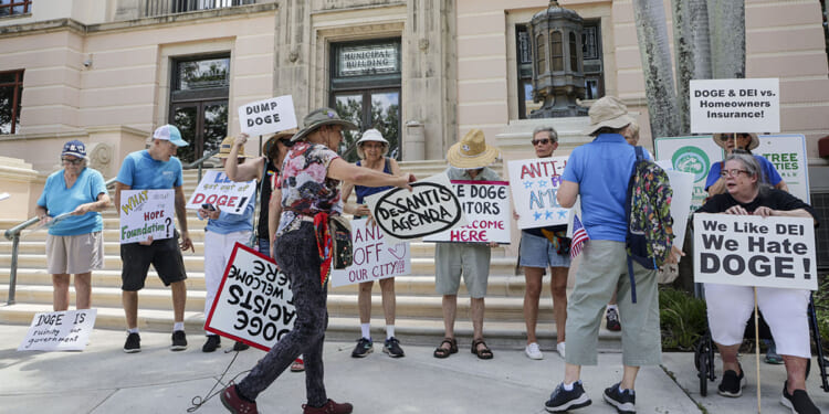 The State DOGE Movement