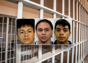 ICE issues detainers for alleged MS-13 members in Maryland teen murder case