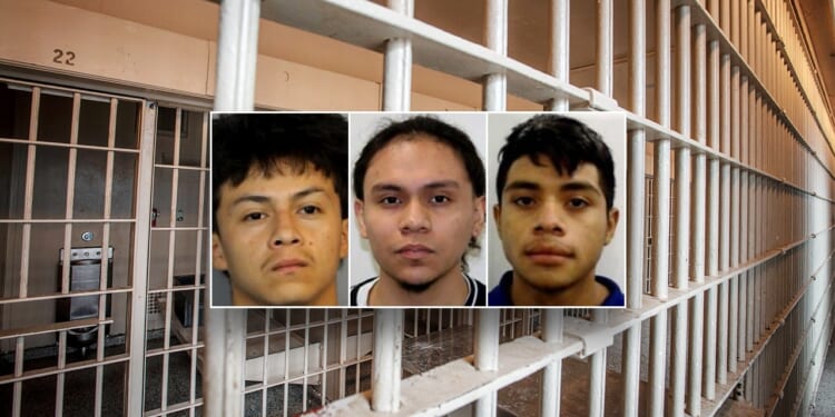 ICE issues detainers for alleged MS-13 members in Maryland teen murder case
