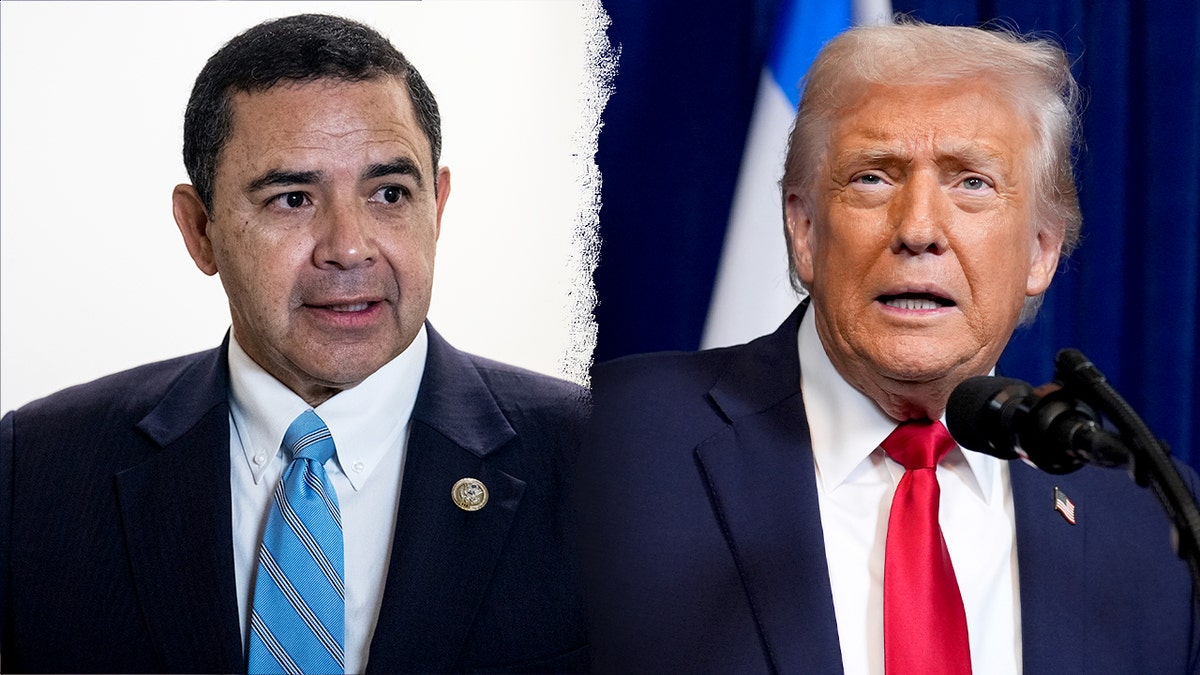 A split of Donald Trump and Henry Cuellar.