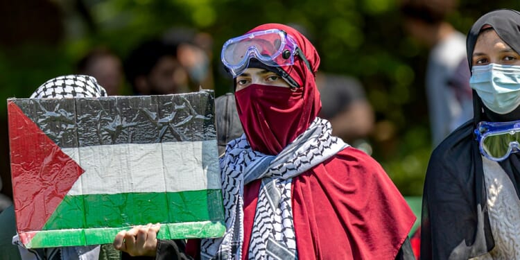 Reagan-appointed judge blocks Trump from deporting certain pro-Palestinian activists