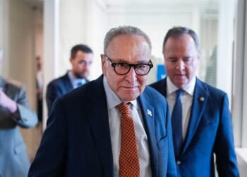 Senate Democrats break from leadership over DHS funding amid shutdown threat