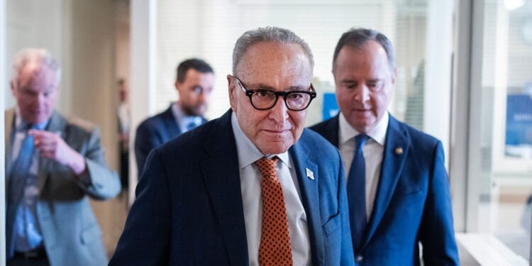 Senate Democrats break from leadership over DHS funding amid shutdown threat