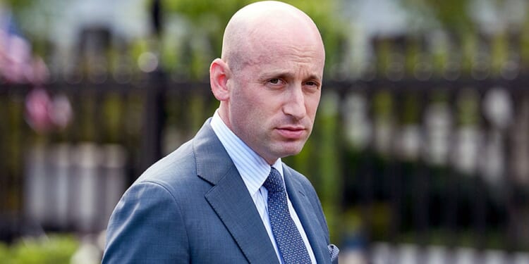 Stephen Miller accuses Democrats of siding with 'terrorists' in wake of shooting