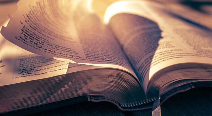 On the centrality of the Word of God in the life of the Church – Catholic World Report