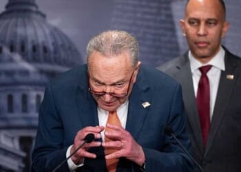 Democrats threaten to shut down government over ICE funding: 'We are not powerless'