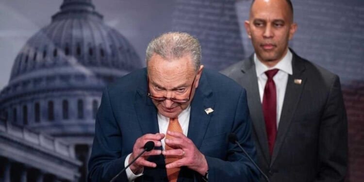 Democrats threaten to shut down government over ICE funding: 'We are not powerless'