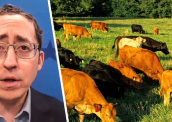 Forget Greenland — we’re losing the real green land that feeds America