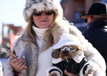 Modern pet ownership is a mental illness