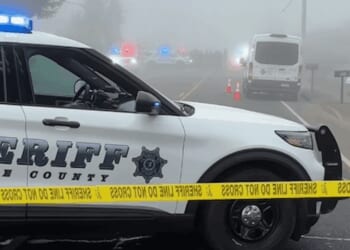 Knifed for 'being a Christian'? Suspect allegedly stabs man and his dog after asking about victim's religion