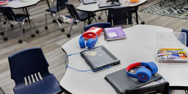 AI in education: Innovation or a predator’s playground?