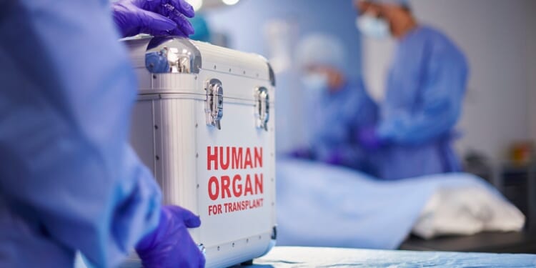 Hospitals probed over claims American donor organs went to wealthy foreign recipients