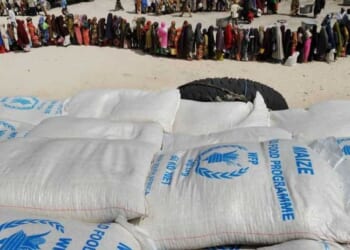 Somalia accused of stealing US-funded food aid, destroying warehouse — but caves when Trump admin cuts it off cold