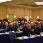 On the laity and the prudential application of moral principles