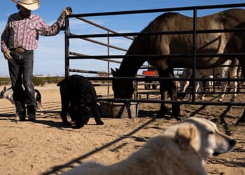 Farmers' Almanac rescued from extinction, keeping 200-year tradition alive: 'It felt wrong'