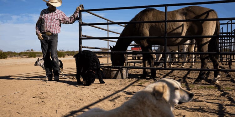 Farmers' Almanac rescued from extinction, keeping 200-year tradition alive: 'It felt wrong'