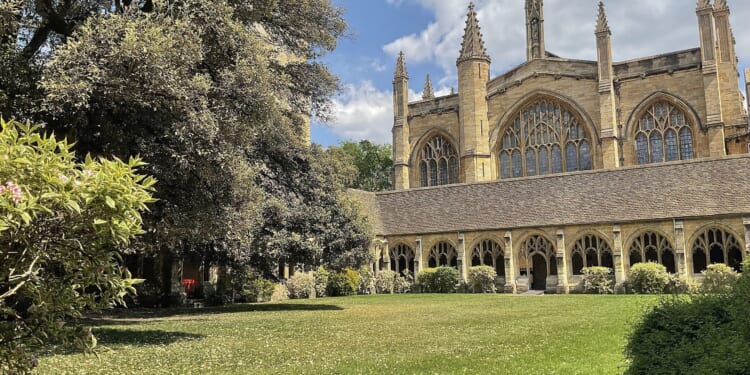 “A quiet literary life,” by David Platzer