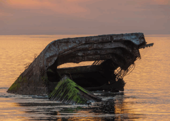 Bones of a Ship Surface 136 Years Later from the Sands of the Jersey Shore