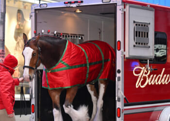 Budweiser Goes Full Patriot in 2026 Super Bowl Ad