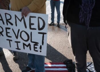 Dulis: Renee Good Is Dead Because Democrats Encouraged 'Blood to Grab the Attention' of Media, Public