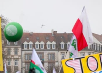 EU to Implement Trade Deal Despite Vote Demanding Judicial Review