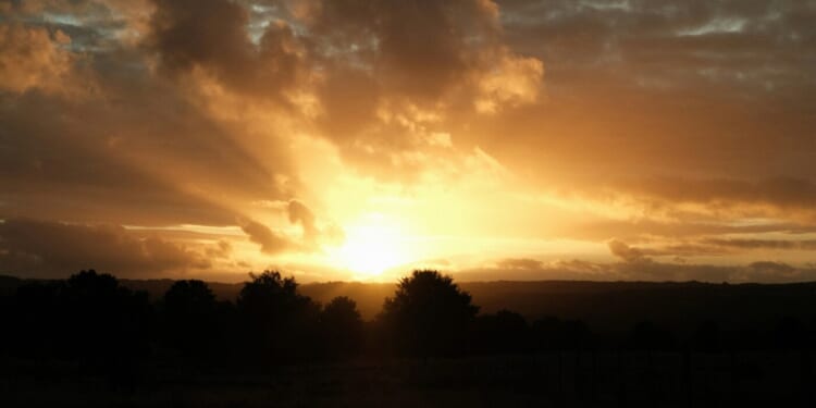 Exegesis of the Word: On Christ the Light of the World Now and to Come