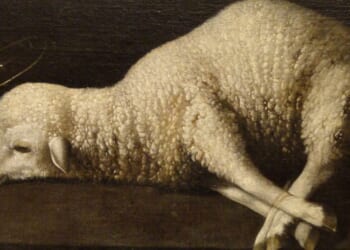 Exegesis of the Word: On the Lamb of God