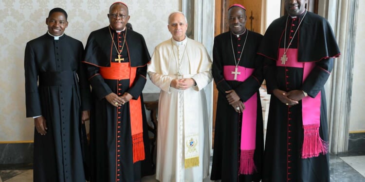 First meeting with Pope Leo XIV marks new chapter for Church in Africa – Catholic World Report