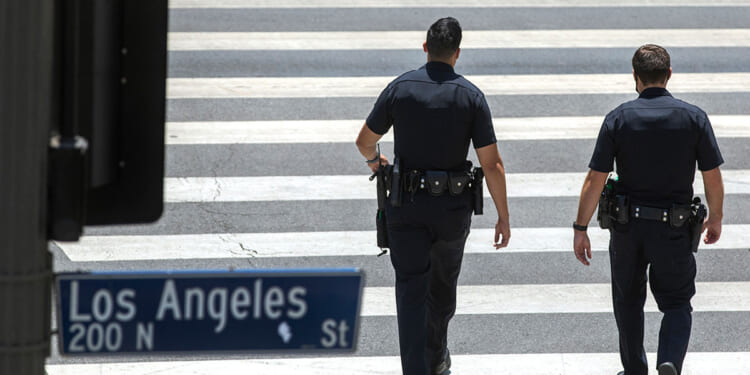 Foreign Fraud Gangs Are Ripping Off West Coast States