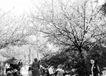 France Sees More Deaths Than Births for First Time Since WW2