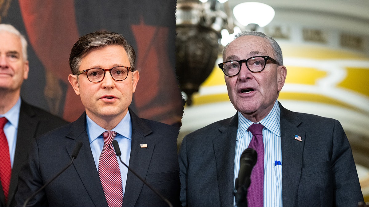 Mike Johnson, Chuck Schumer