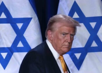 'I Think We Don't Like Them'